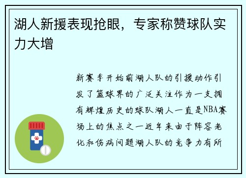 湖人新援表现抢眼，专家称赞球队实力大增